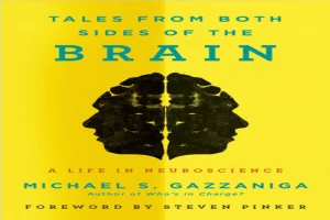 Book cover of Tales from Both Sides of the Brain: A Life in Neuroscience by Michael Gazzaniga Book cover of Tales from Both Sides of the Brain: A Life in Neuroscience by Michael Gazzaniga